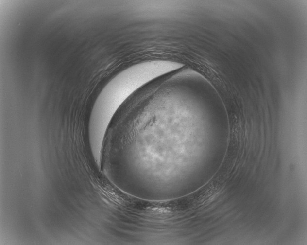 X0000061110649200512022127