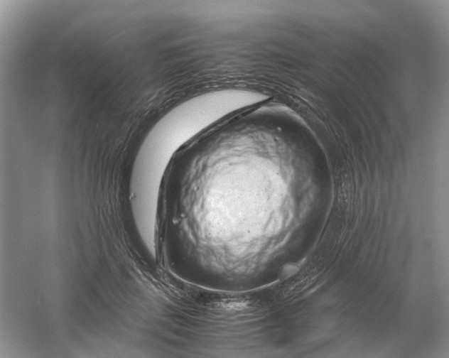 X0000061110651200512022127