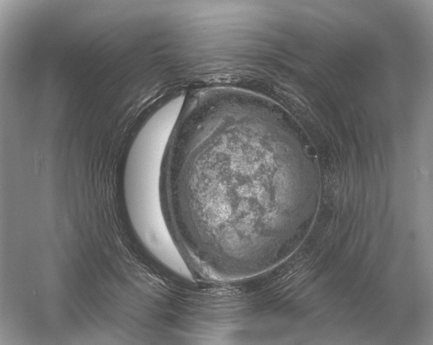 X0000061110652200512022127