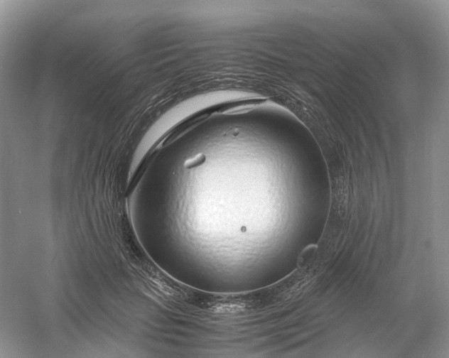 X0000061110653200512022127