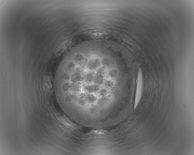 X0000061110654200512022127