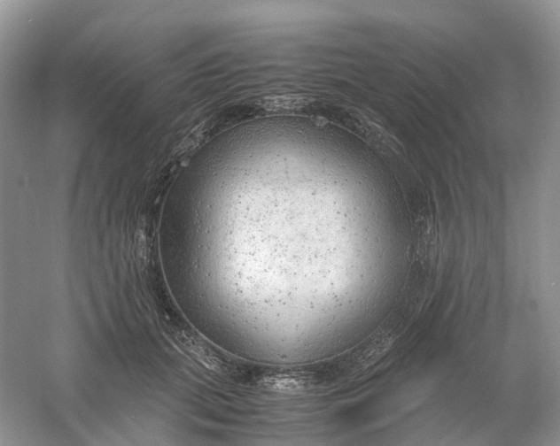 X0000061110655200512022127