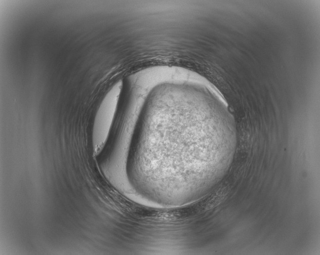 X0000061110656200512022127