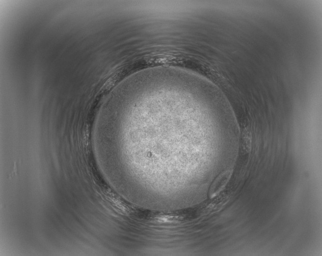 X0000061110657200512022127