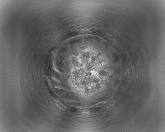 X0000061110658200512022127