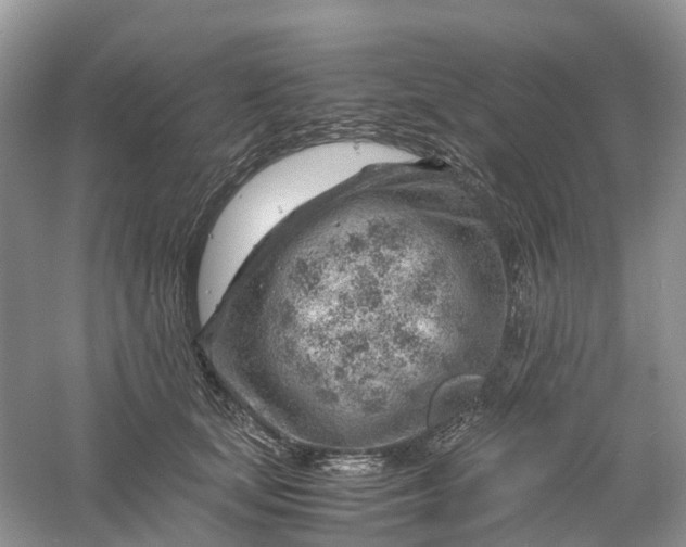 X0000061110659200512022127