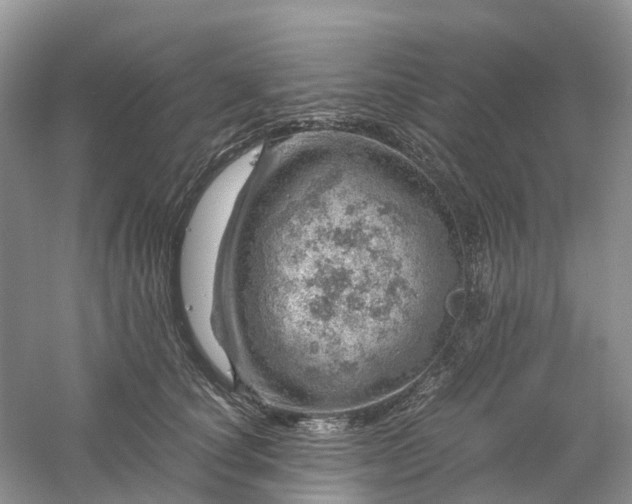 X0000061110660200512022127