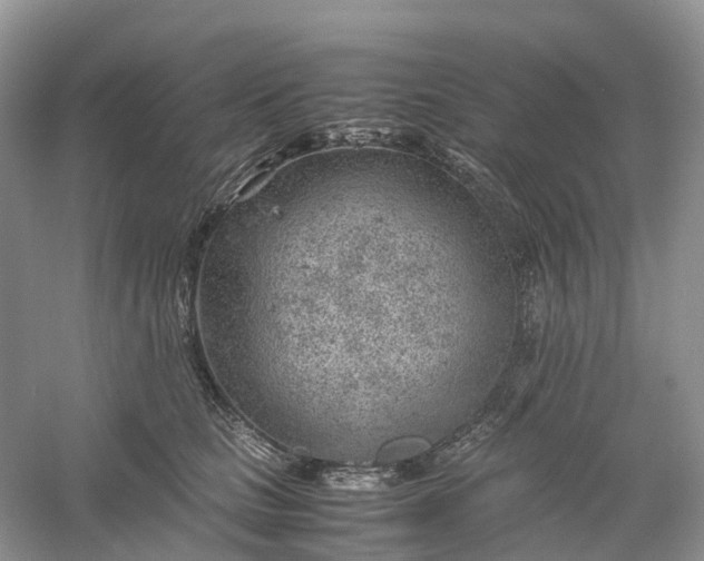 X0000061110661200512022127