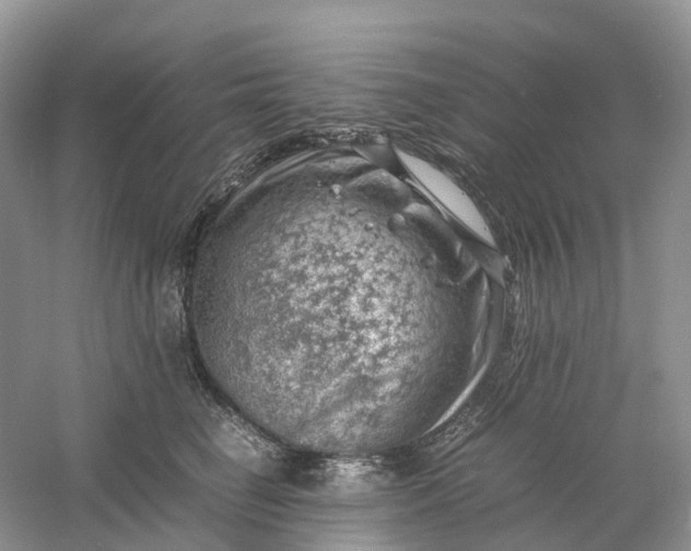 X0000061110662200512022127