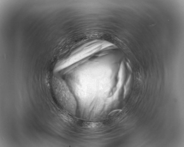 X0000061110663200512022127