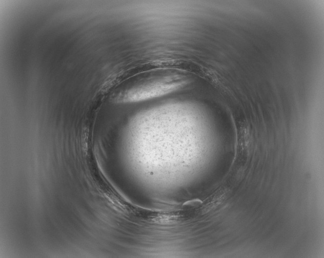 X0000061110664200512022127