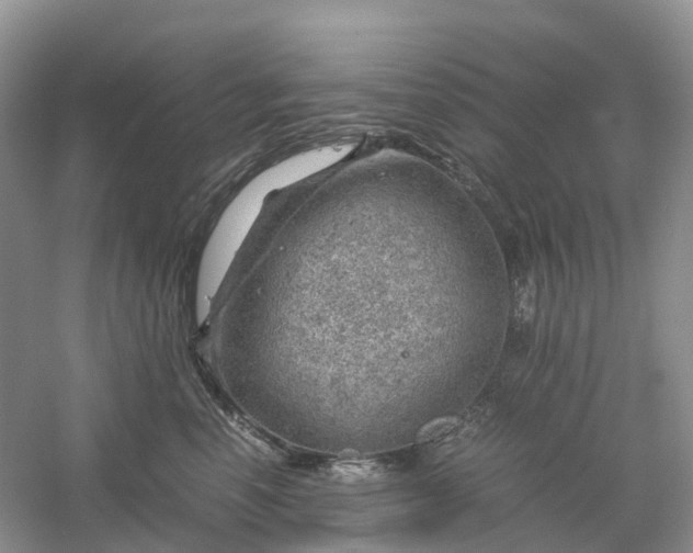 X0000061110666200512022127