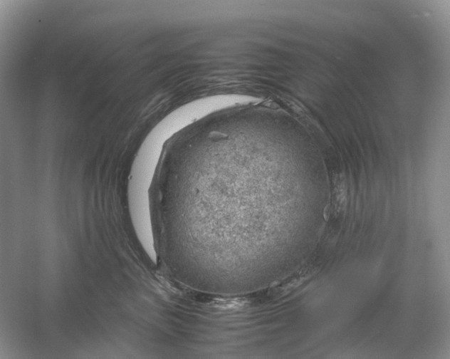 X0000061110667200512022127