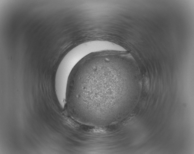 X0000061110668200512022127