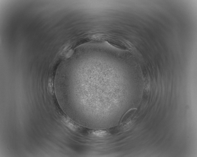 X0000061110669200512022127