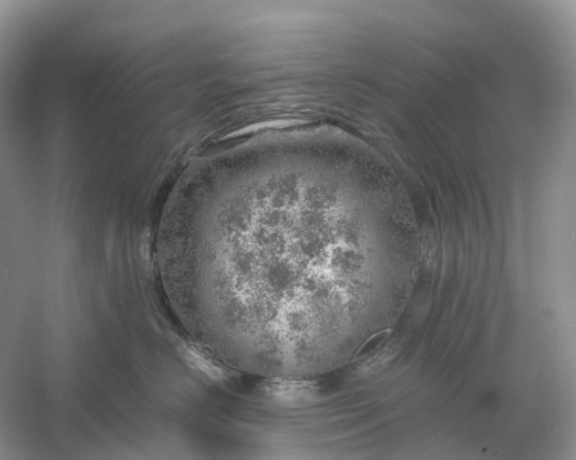 X0000061110670200512022127