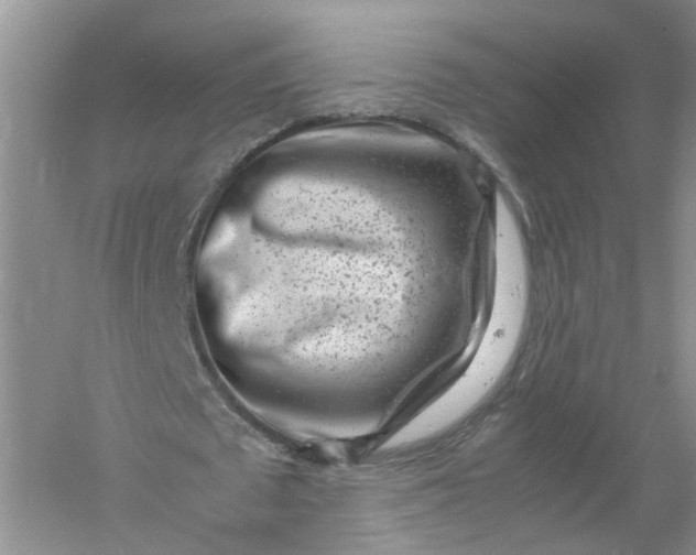 X0000061110673200512022126