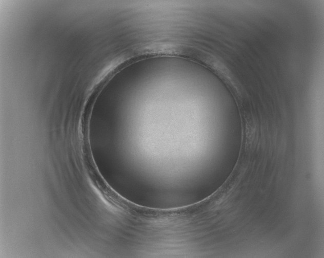 X0000061110674200512022126