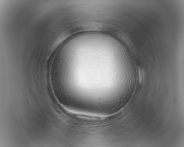 X0000061110675200512022126