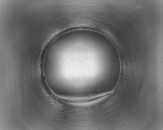 X0000061110676200512022126