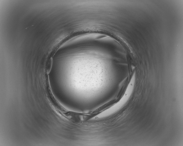 X0000061110677200512022126