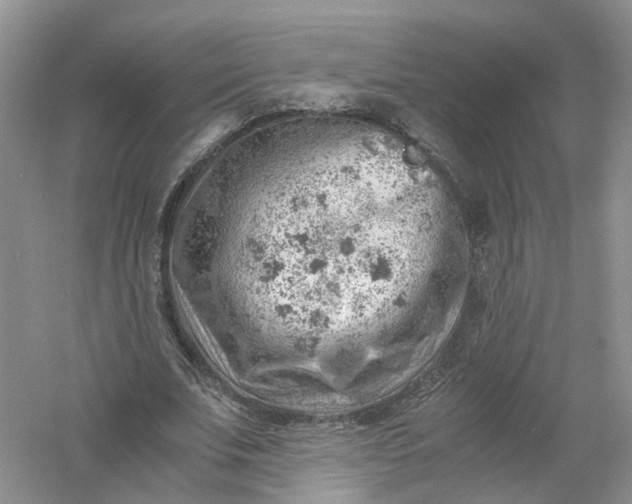 X0000061110679200512022126