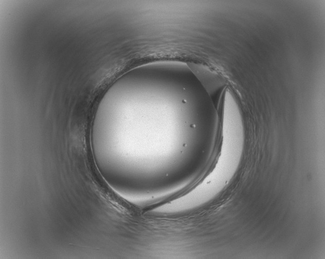 X0000061110681200512022126