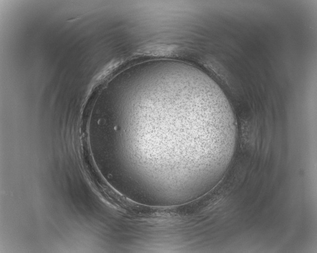 X0000061110682200512022126