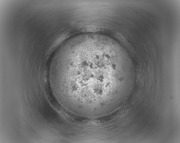 X0000061110683200512022126