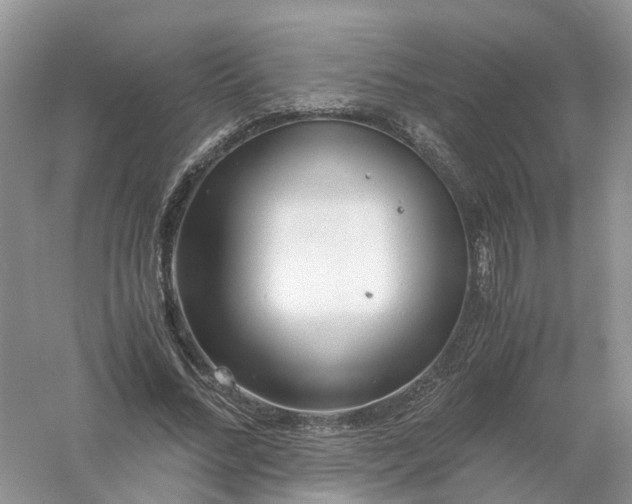 X0000061110684200512022126