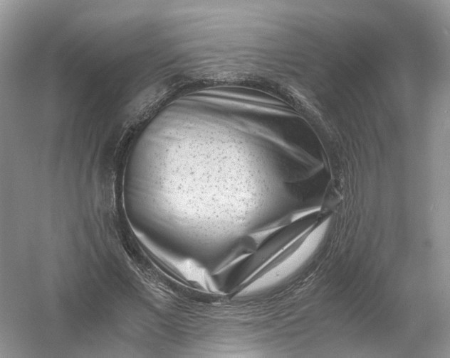 X0000061110685200512022126