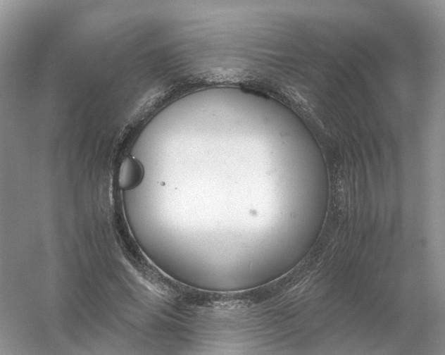 X0000061110686200512022126