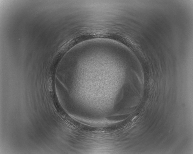 X0000061110689200512022126