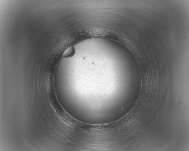 X0000061110690200512022126