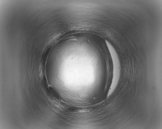 X0000061110692200512022126