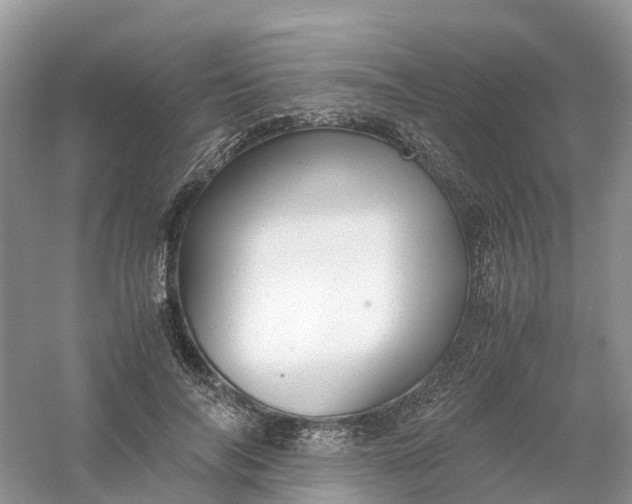 X0000061110694200512022126