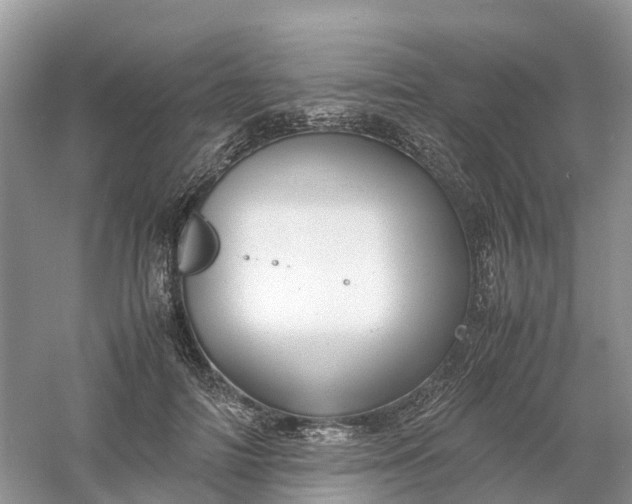 X0000061110698200512022126