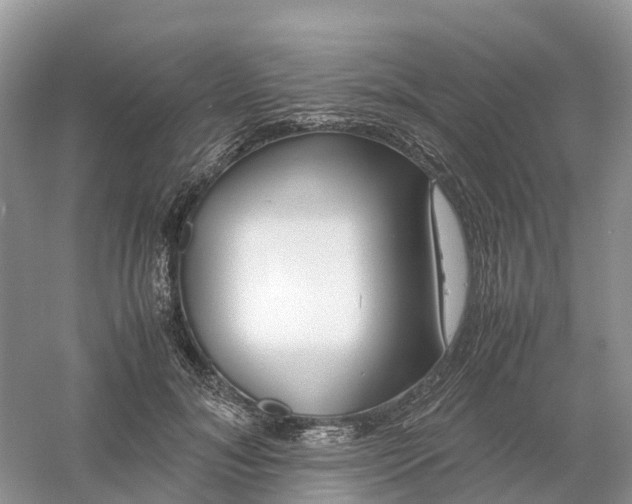 X0000061110700200512022126