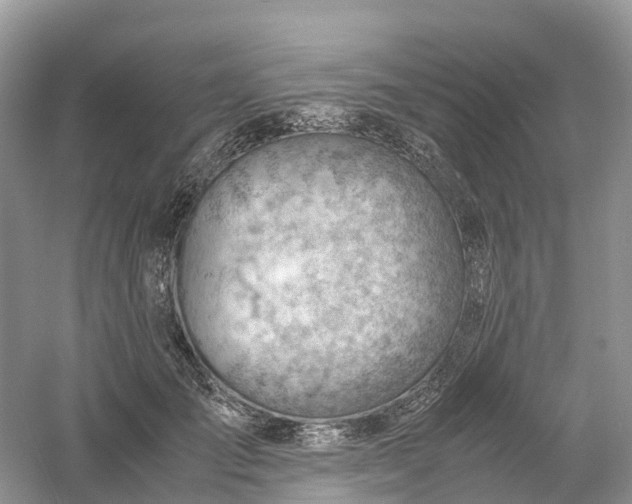 X0000061110701200512022126