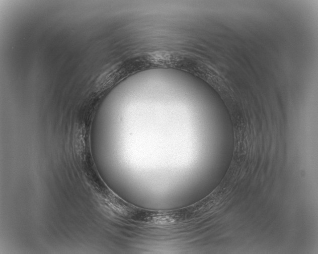 X0000061110702200512022126