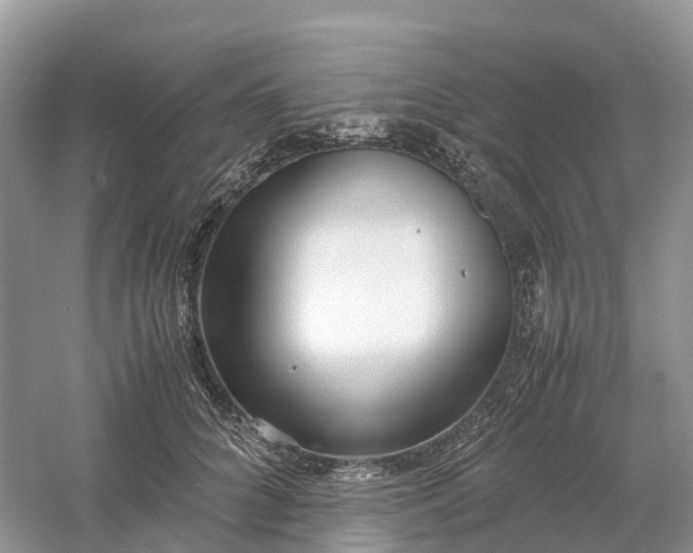 X0000061110704200512022126