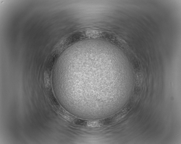 X0000061110705200512022126