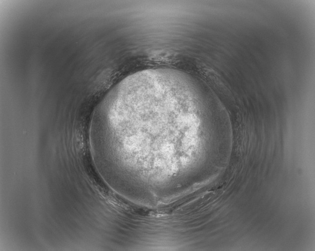 X0000061110706200512022126