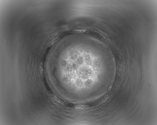 X0000061110707200512022126