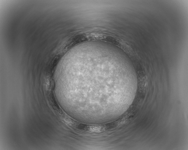 X0000061110709200512022126