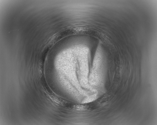 X0000061110710200512022126