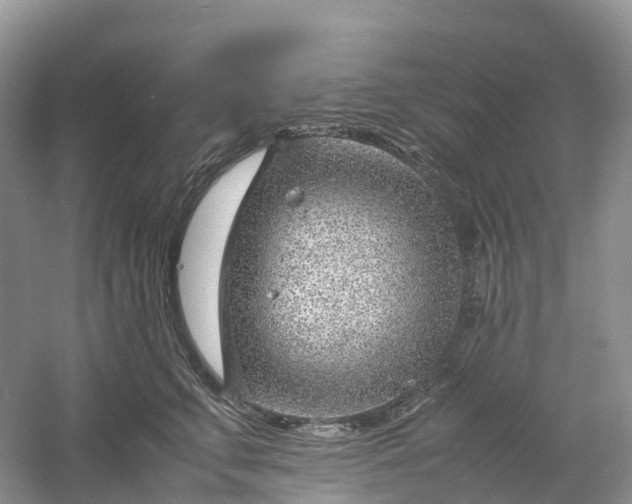 X0000061110711200512022125