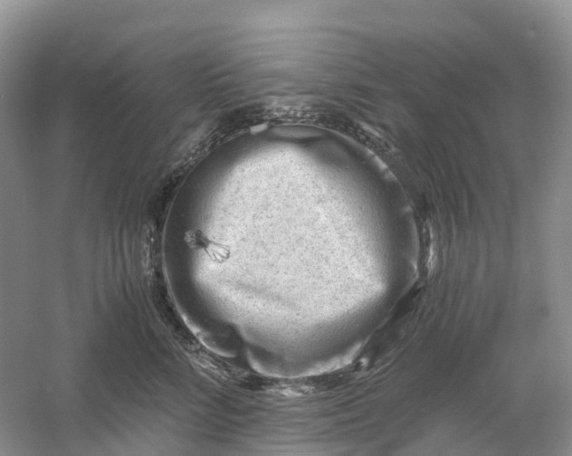 X0000061110712200512022125