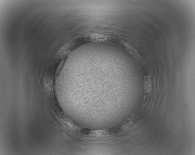 X0000061110713200512022125