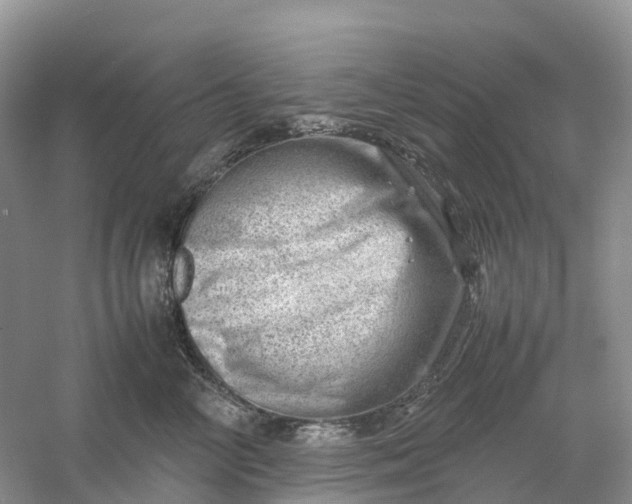 X0000061110714200512022125